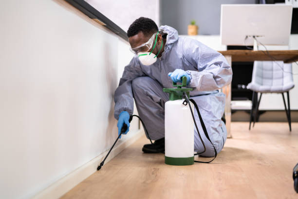 Best Real Estate Pest Inspections  in Lattingtown, NY